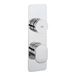 Crosswater Dial Pier Concealed Thermostatic 1 Outlet Shower Valve - Portrait